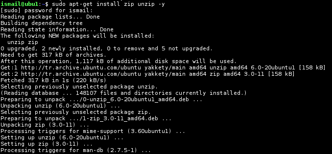 Install Zip