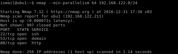 Parallel Host Probe