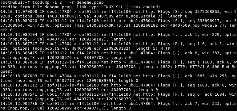 Reading Pcap Capture File