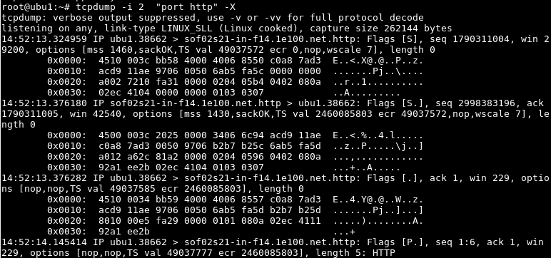 Display Captured Packets In Hex