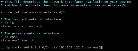 Persistence Static Route