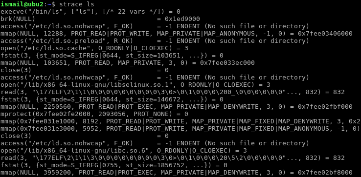 Trace Execution