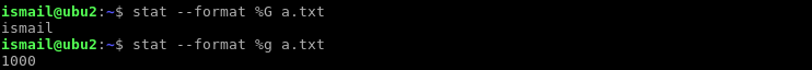 Show Group