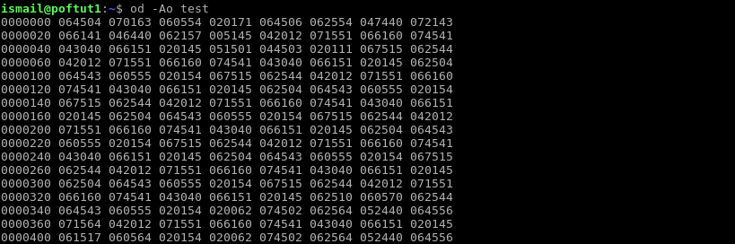 Display Byte Offset Octal