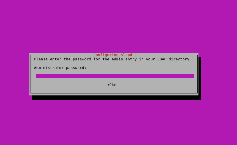 Set Admin Password