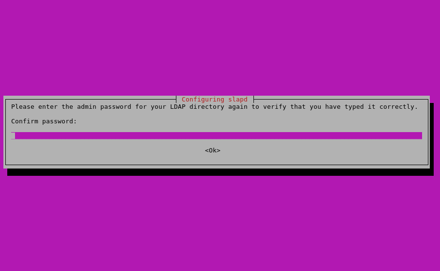 Verify Admin Password