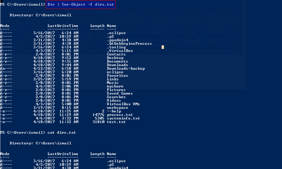 Write Both File and Console