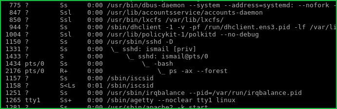 List Processes As Tree