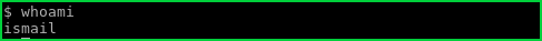 Print Current User