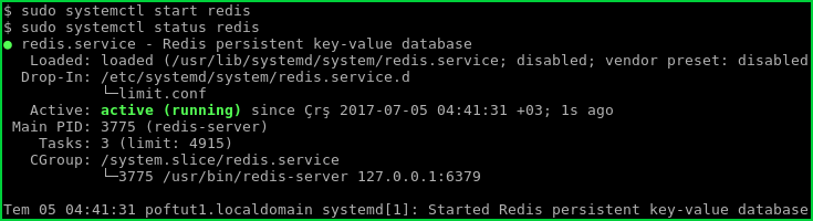 图片[4]-将Redis安装到Linux、Ubuntu、Debian、Fedora、CentOS、RedHat-yiteyi-C++库