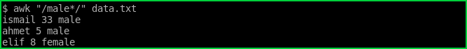 Match Zero or More Occurrence