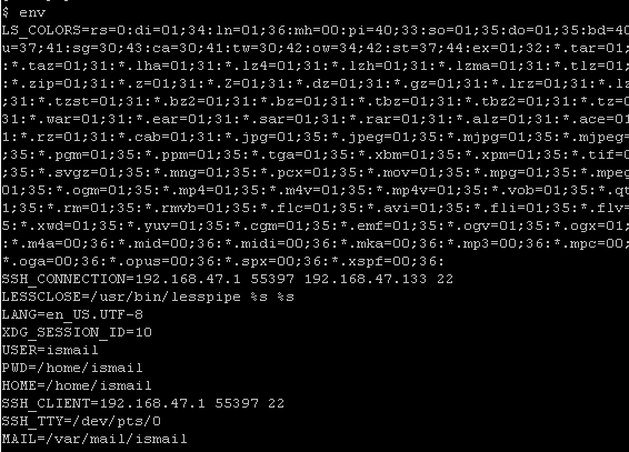 Get Existing Bash Environment Variables