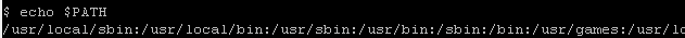 Print Current PATH Variable