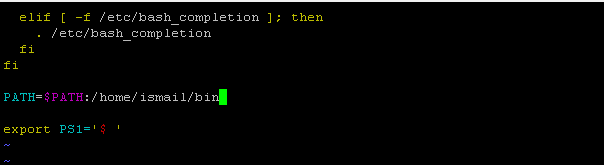 Make PATH Variable Persistent