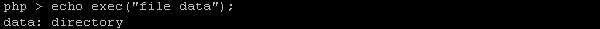 Run External System Binary or Application
