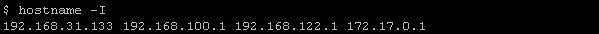 如何以不同的方式获取Linux网络IP地址？-yiteyi-C++库