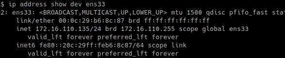 Show Specific Interface IP Address with ip Command