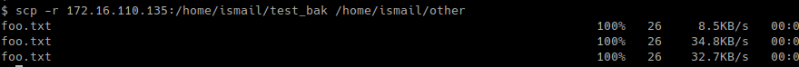 Download Directories Recursively