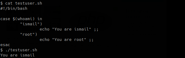 Check Current User Example