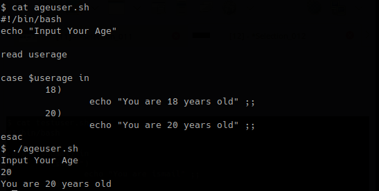 Check Given Input