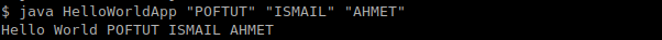 Running Java Application with Multiple Arguments