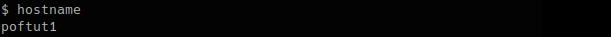 Print Hostname with hostname Command