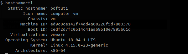 Print Hostname with hostnamectl Command