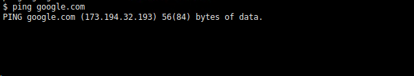 We Can Not Access To The Internet