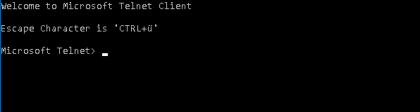 Start Telnet Interactive Shell