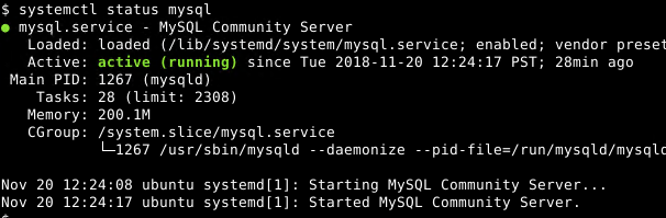 Check Database Service