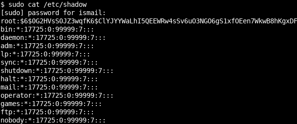 Sudo Command