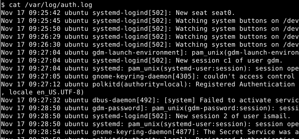 Sudo Usage Log