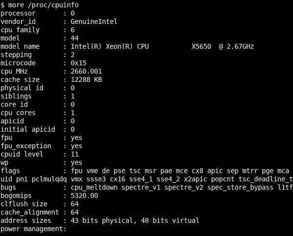 Getting Information From /proc/cpuinfo