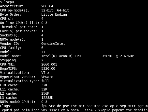 Getting Cpu Information With lscpu