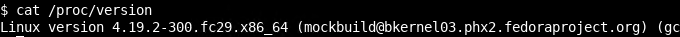 Print Kernel Version From /proc/version File