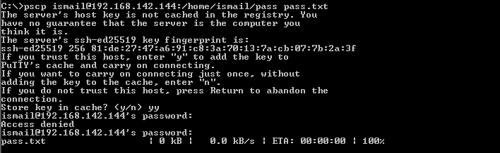 Download or Get File From Remote Server