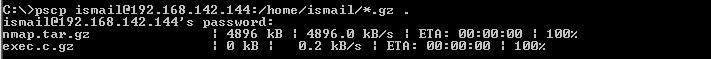 Download or Get Multiple Files From Remote Server