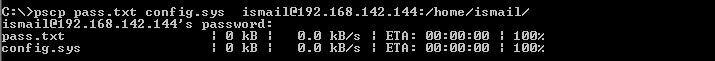 Upload or Put Files To Remote Server