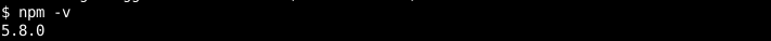 Print Npm Version