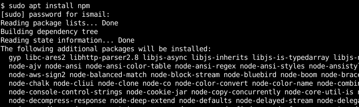 如何在Linux和Windows上更新Npm？-yiteyi-C++库