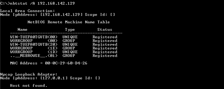 List NetBIOS Name Table Of Given  Remote IP Address