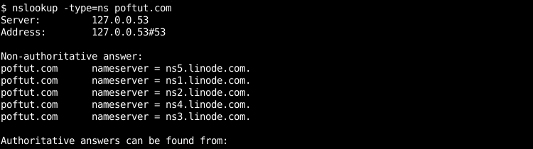Query and Print NS Type Records