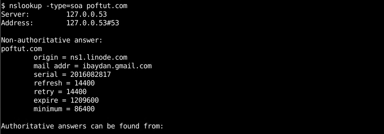 Query and Print SOA Record