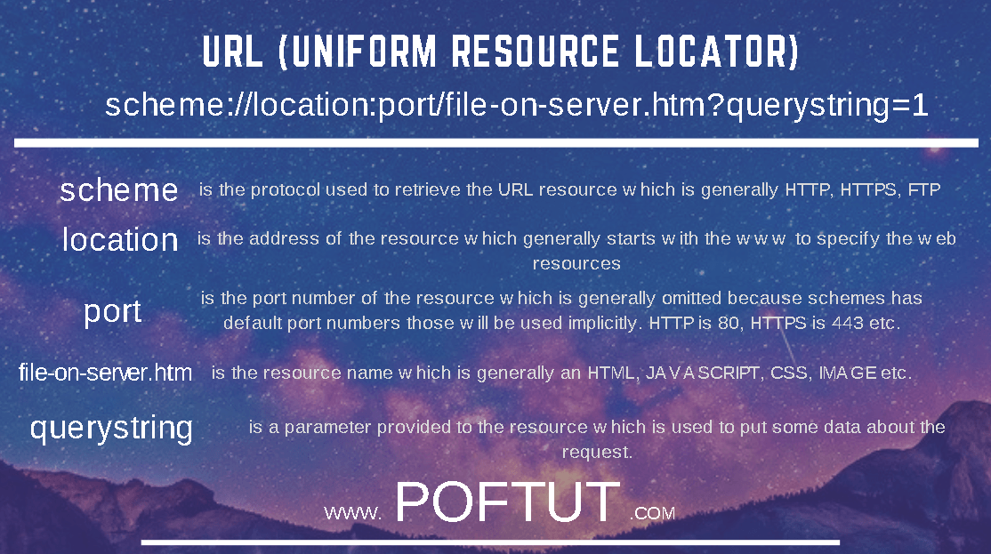 What Is URL (Uniform Resource Locator)? Infographic