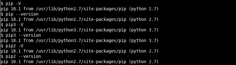 Print Python Pip Version