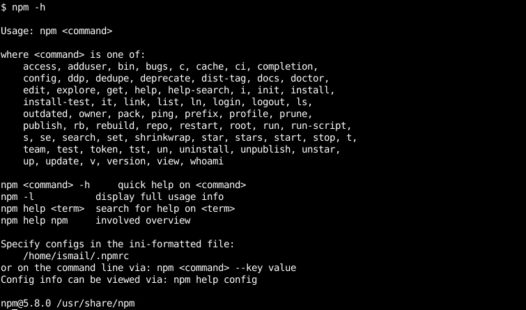 Print npm General Help Information