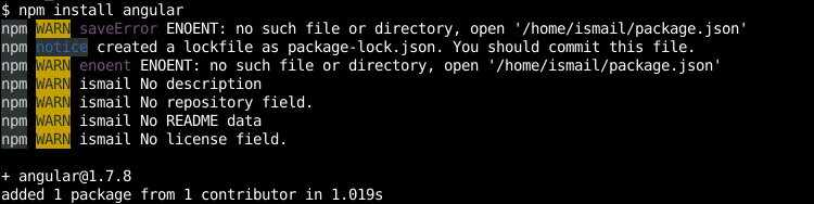 Install Single Package with npm