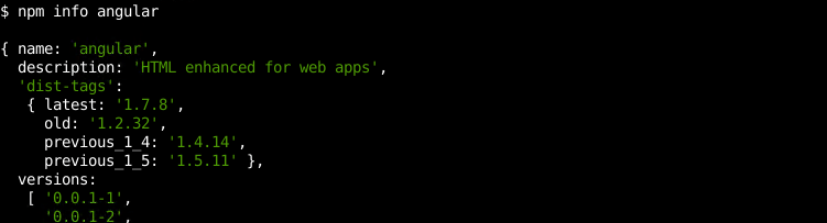 Print Package Details with npm