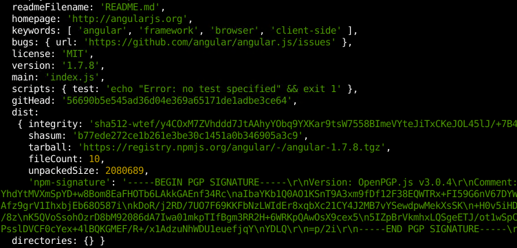Print Package Details with npm