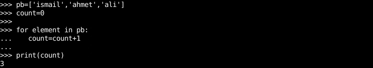 Count Length with For Loop By Iterating Each Element